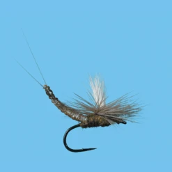 Solitude Parachute EXT Body Fly (12 Count)