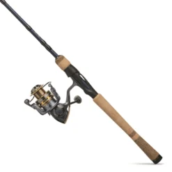 Pflueger President Eagle Spinning Combo