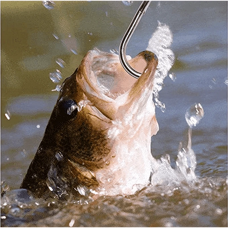 Hawkeye Marine Sonic Laser Scale SP - Image 5